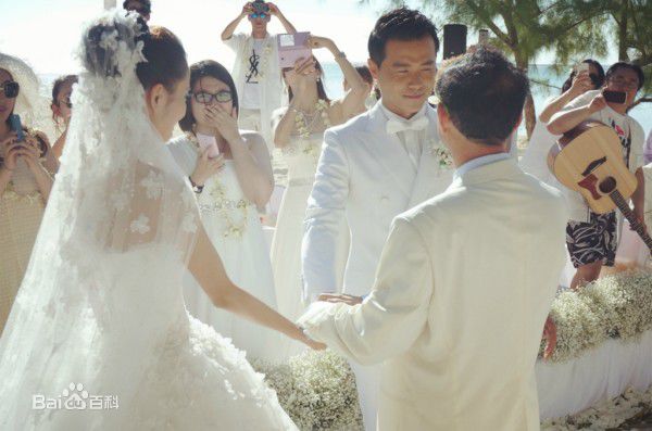 陈思诚(Chen Sicheng)佟丽娅大溪地结婚生活照相册