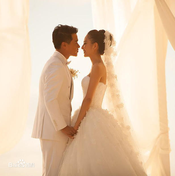 陈思诚(Chen Sicheng)佟丽娅大溪地结婚生活照相册