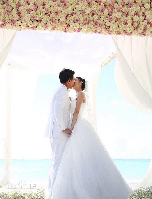 陈思诚(Chen Sicheng)佟丽娅大溪地结婚生活照相册