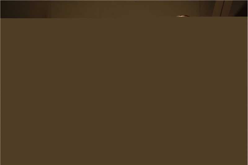 《勇敢的心》柏杉导演工作照