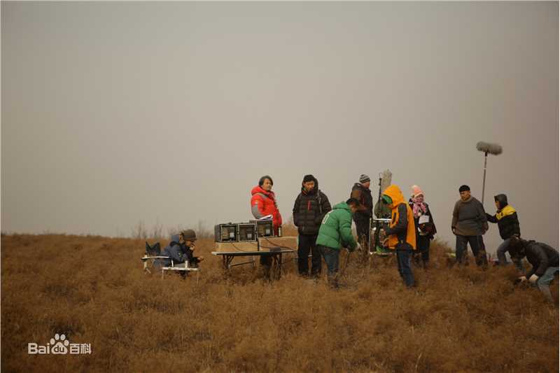 《勇敢的心》柏杉导演工作照