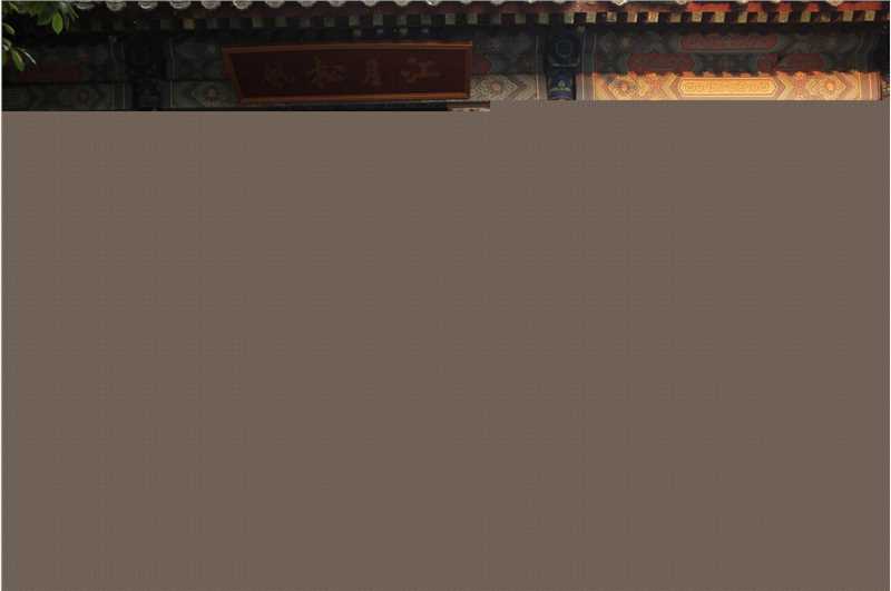 《勇敢的心》柏杉导演工作照（专辑）