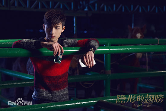 最新张彬彬(Vin)在《隐形的翅膀》饰演段罡中的图集