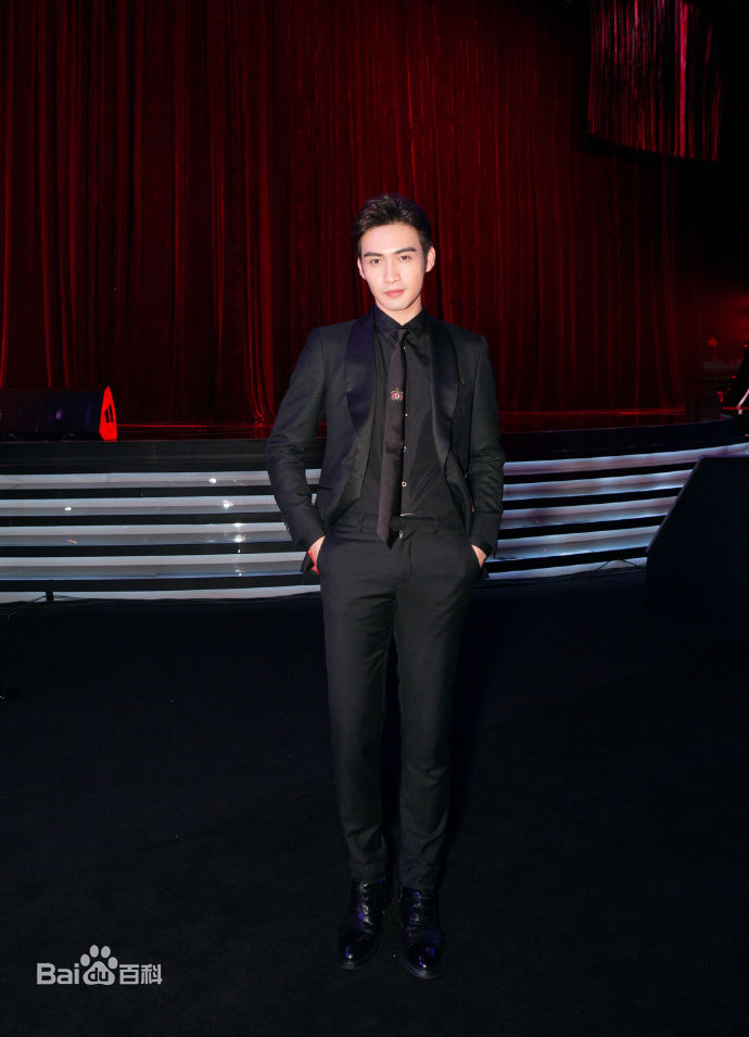 张彬彬(Vin)20170909芭莎慈善夜性感图片壁纸