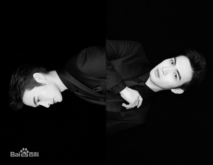 张彬彬(Vin)20170909芭莎慈善夜性感图片壁纸