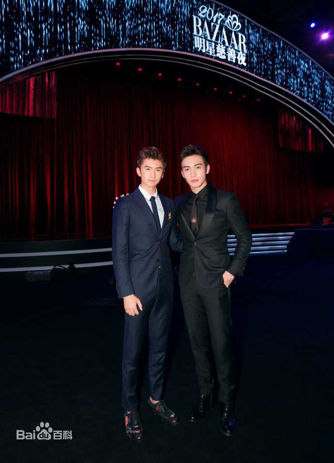 张彬彬(Vin)20170909芭莎慈善夜性感图片壁纸