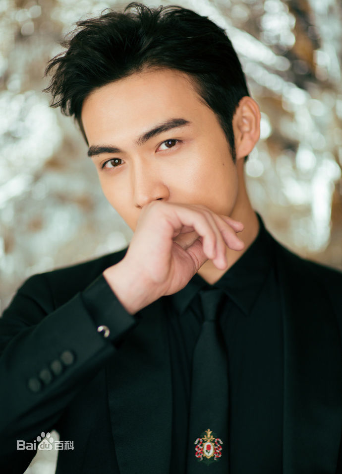 张彬彬(Vin)20170909芭莎慈善夜性感图片壁纸