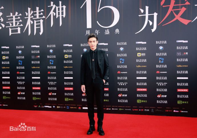 张彬彬(Vin)20170909芭莎慈善夜性感图片壁纸