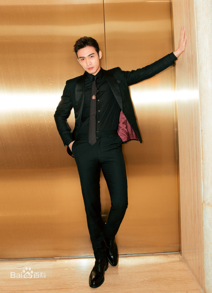 张彬彬(Vin)20170909芭莎慈善夜性感图片壁纸