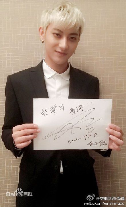 黄子韬(Z.TAO、 、タオ) 公益壁纸壁纸