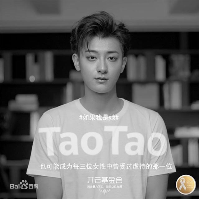 黄子韬(Z.TAO、 、タオ) 公益壁纸壁纸