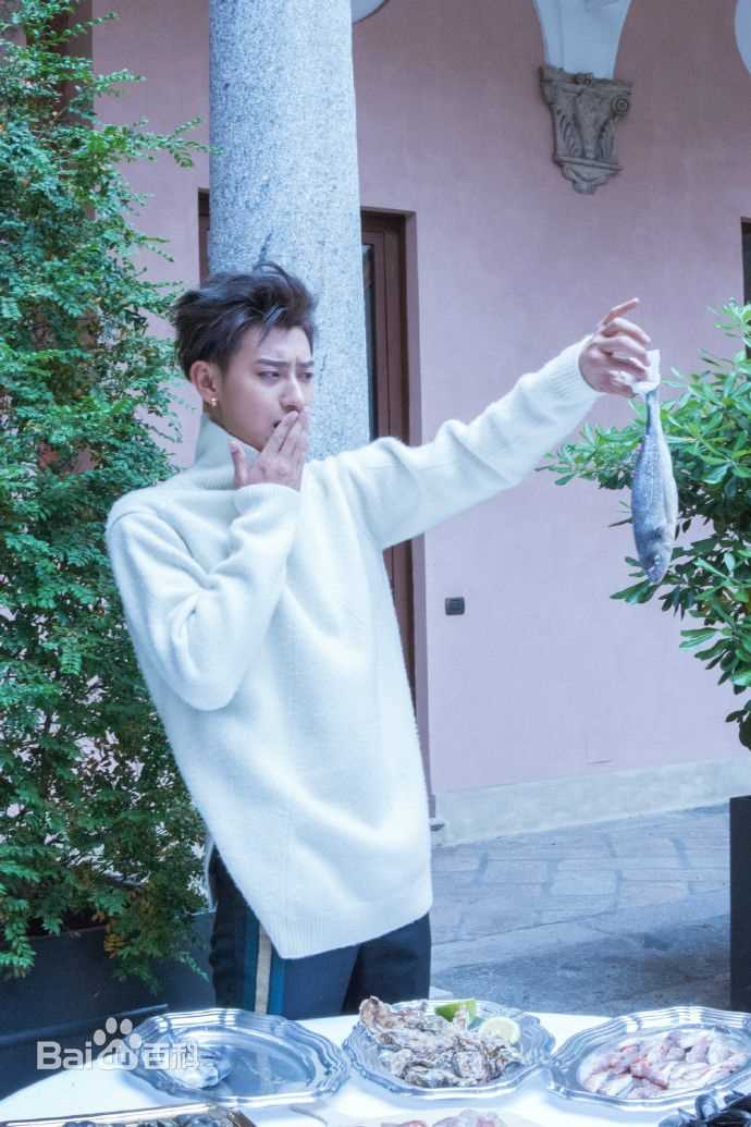 精选黄子韬(Z.TAO、 、タオ)在《红秀》中的图册