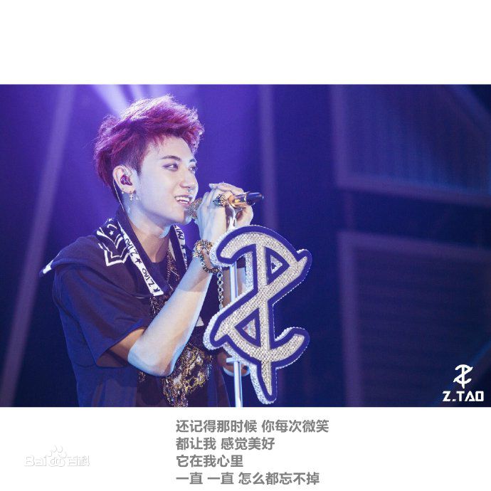 黄子韬(Z.TAO、 、タオ)Z.TAO Mini Concert Tour图片图集