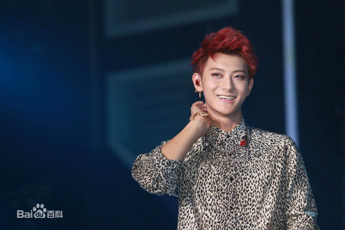 黄子韬(Z.TAO、 、タオ)Z.TAO Mini Concert Tour图片图集