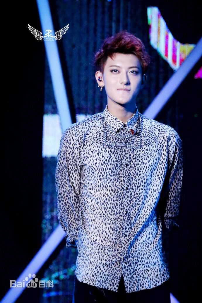 黄子韬(Z.TAO、 、タオ)Z.TAO Mini Concert Tour图片图集