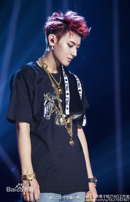 黄子韬(Z.TAO、 、タオ)Z.TAO Mini Concert Tour图片图集