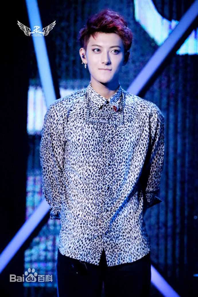 黄子韬(Z.TAO、 、タオ)Z.TAO Mini Concert Tour图片图集