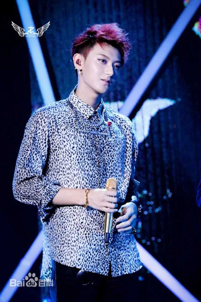 黄子韬(Z.TAO、 、タオ)Z.TAO Mini Concert Tour图片图集