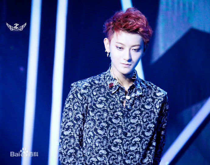 黄子韬(Z.TAO、 、タオ)Z.TAO Mini Concert Tour图片图集