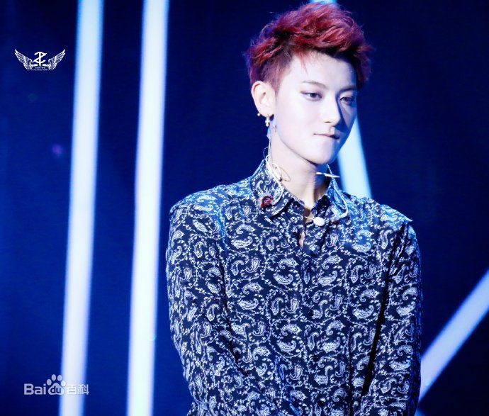 黄子韬(Z.TAO、 、タオ)Z.TAO Mini Concert Tour图片图集