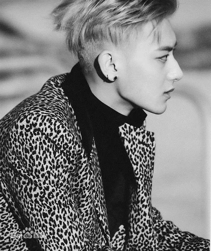 最优质黄子韬(Z.TAO、 、タオ)在《EXODUS》正规专辑中的相册