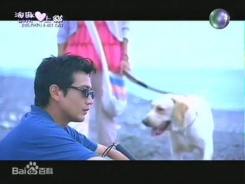 张智尧(Ken Chang)2005年《海豚爱上猫》最全剧照