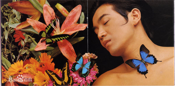 张智尧(Ken Chang)专辑图片素颜照相册