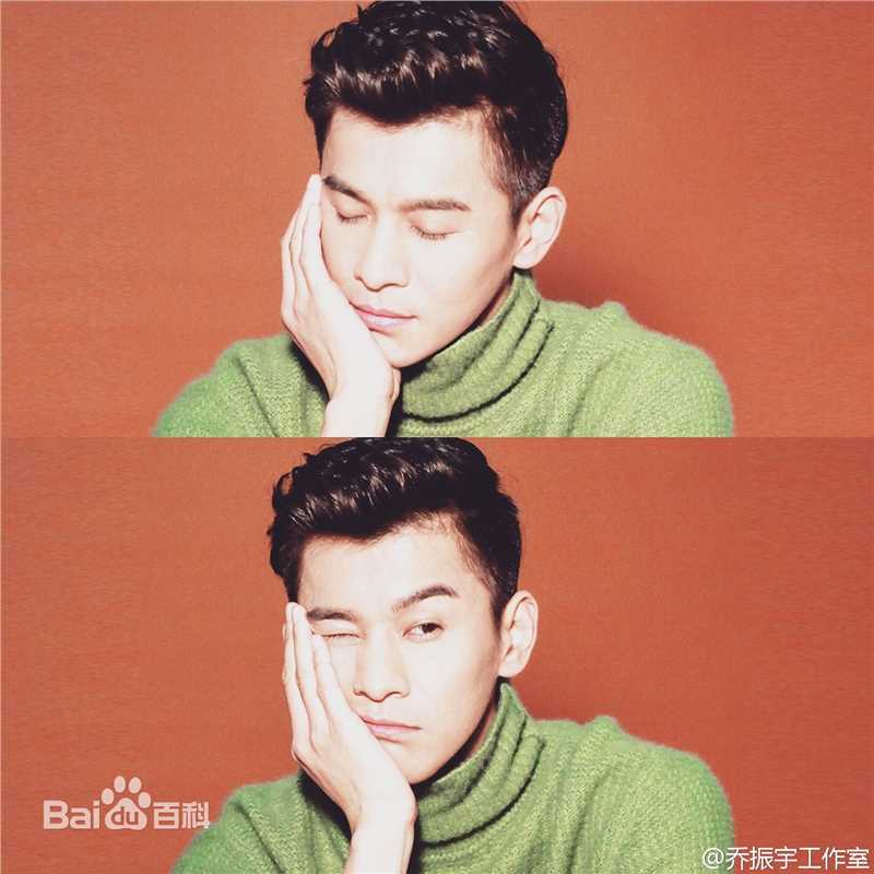 乔振宇(Qiao Zhenyu)最优质2016杂志