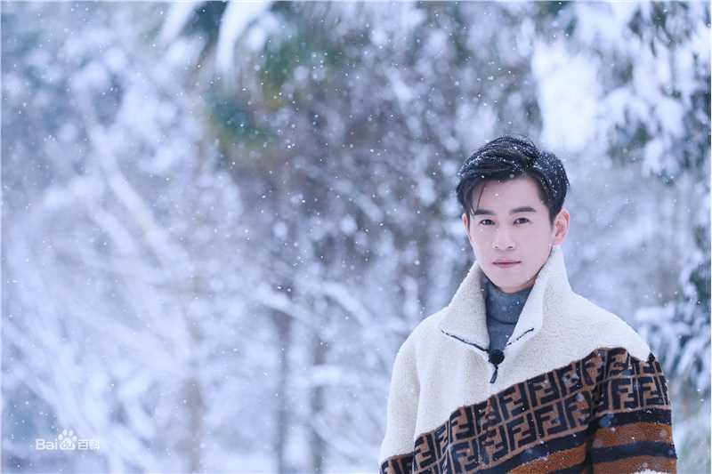 最优质乔振宇(Qiao Zhenyu)在综艺《一路书香》中的相册