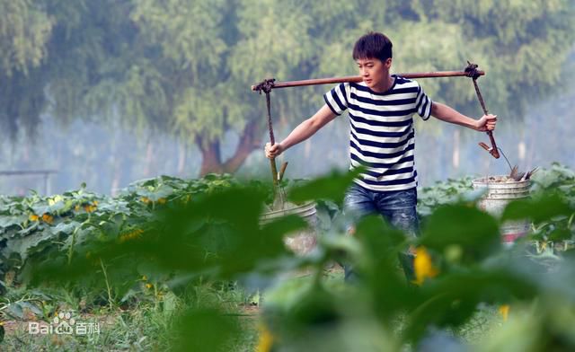 迟帅(Chi Shuai)最优质剧照