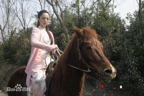 最全董璇(Dong Xuan)在《八大豪侠》饰演扁素问中的壁纸