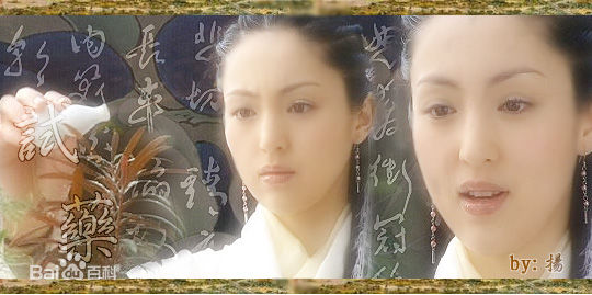 最全董璇(Dong Xuan)在《八大豪侠》饰演扁素问中的壁纸