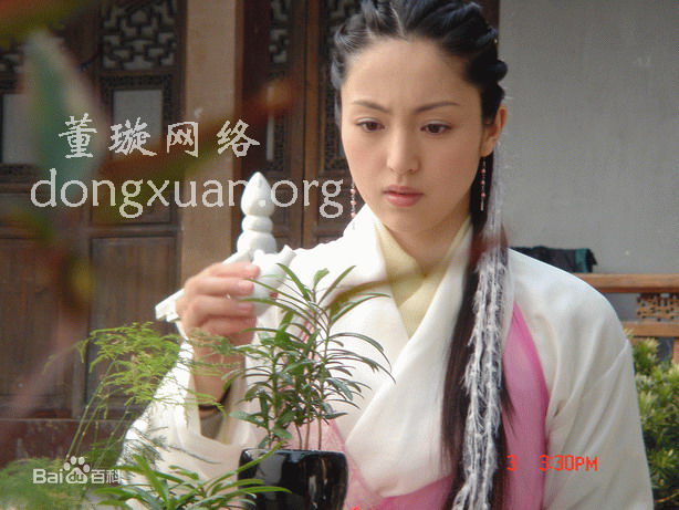 最全董璇(Dong Xuan)在《八大豪侠》饰演扁素问中的壁纸