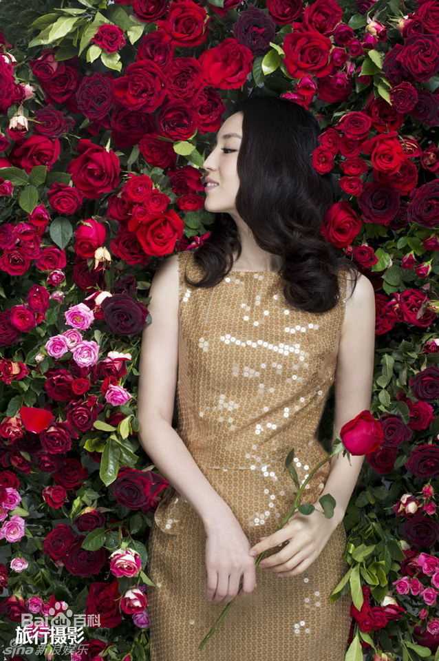 精选董璇(Dong Xuan)精彩图册