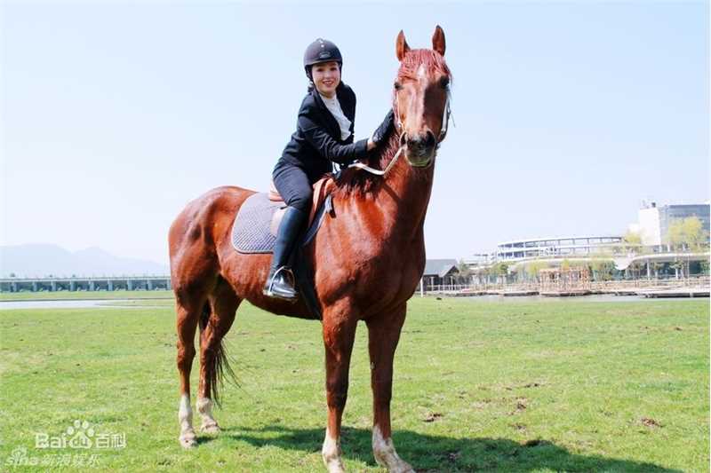 精选董璇(Dong Xuan)精彩图册