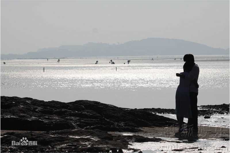 最优质保剑锋(Jeff Bao)精彩图册