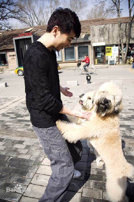 精选保剑锋(Jeff Bao)精彩图册