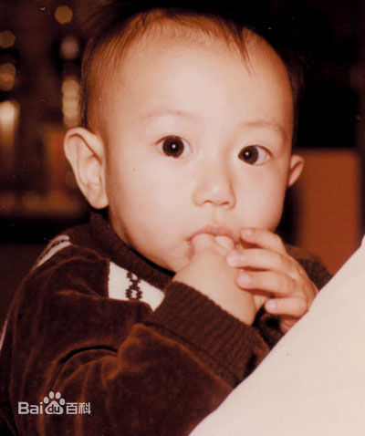 陈键锋(Sammul Chan)早年图片图片图册