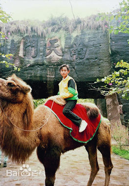 陈键锋(Sammul Chan)早年图片图片图册