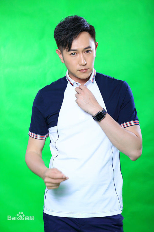 最优质陈键锋(Sammul Chan)在《新人在旅途》饰演陆嘉皓中的相册