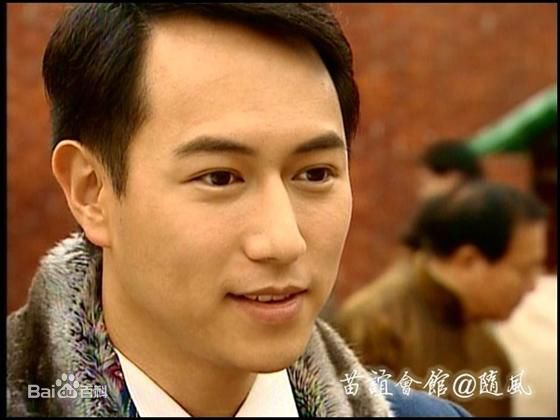 精选陈键锋(Sammul Chan)在2006《千谎百计》饰 徐风茅智中的图册