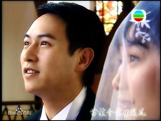 精选陈键锋(Sammul Chan)在2006《千谎百计》饰 徐风茅智中的图册