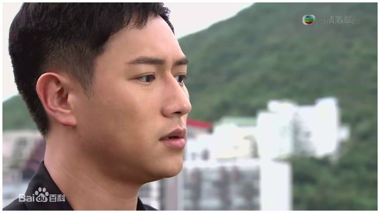 高清陈键锋(Sammul Chan)在2008《学警狙击》饰 李柏翘中的图集