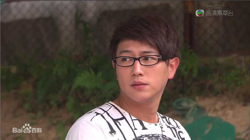 陈键锋(Sammul Chan)在2009《翻叮一族》饰 叶积良中的