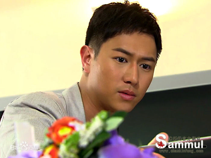 最全陈键锋(Sammul Chan)精彩图册