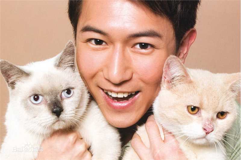 最全陈键锋(Sammul Chan)精彩图册