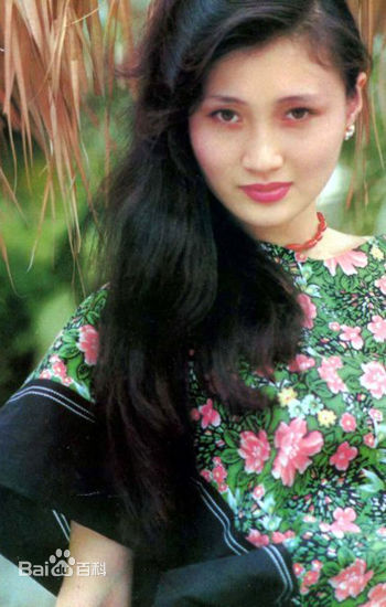 《林芳兵》封面图片