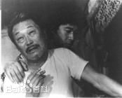 《林芳兵》封面图片