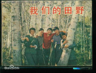 《林芳兵》封面图片