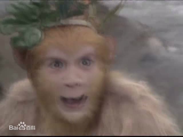 《章金莱》精彩图册